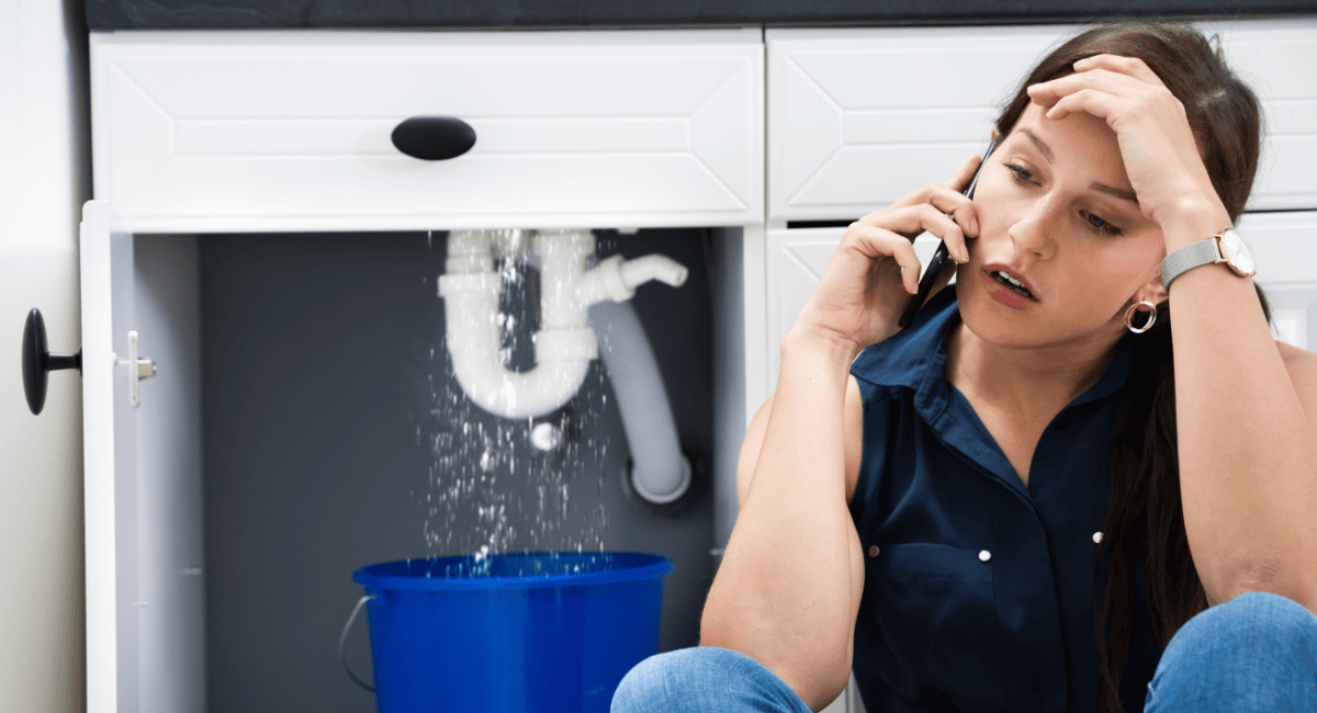 BDR Blog Graphic - Plumbing 1