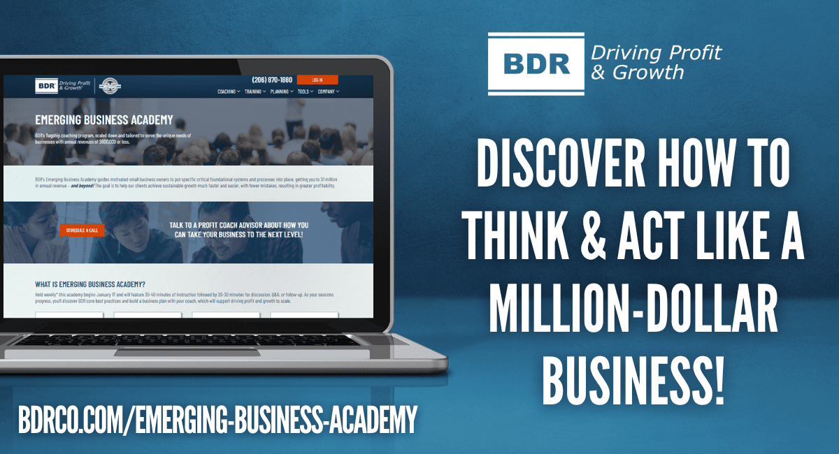 BDR-Emerging-Business-Academy-Press-Release