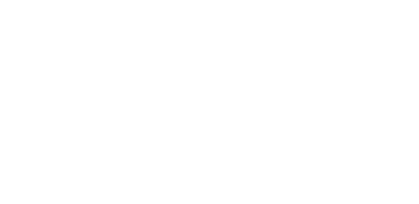 BDR white logo.
