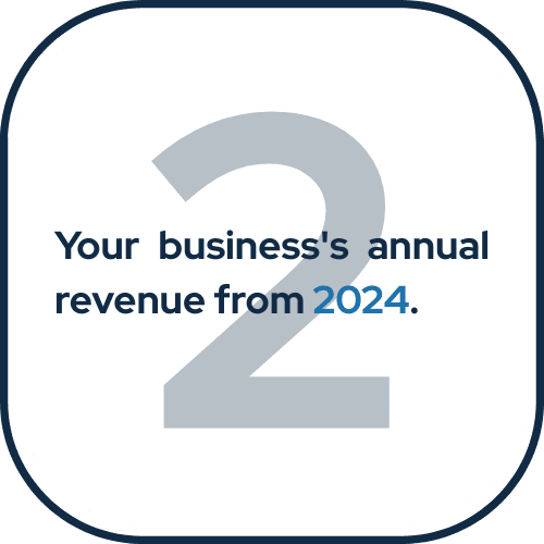 Profit Launch PL Annual Revenue 2024 Your business's 2024 annual revenue.