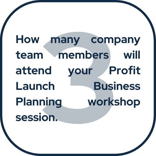 Profit Launch PL Company Team Member Count How many of your company team members will attend Profit Launch Business Planning.