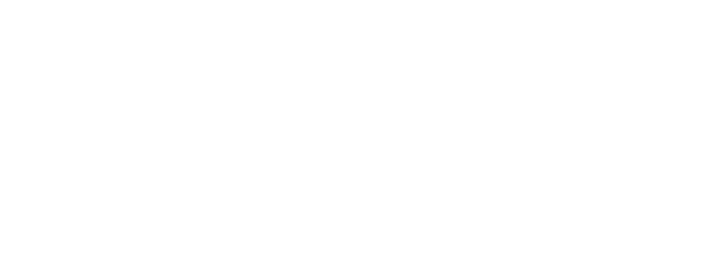 Profit Launch by BDR.